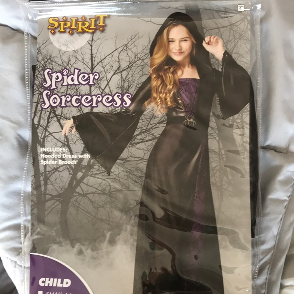Halloween Costume Like New!